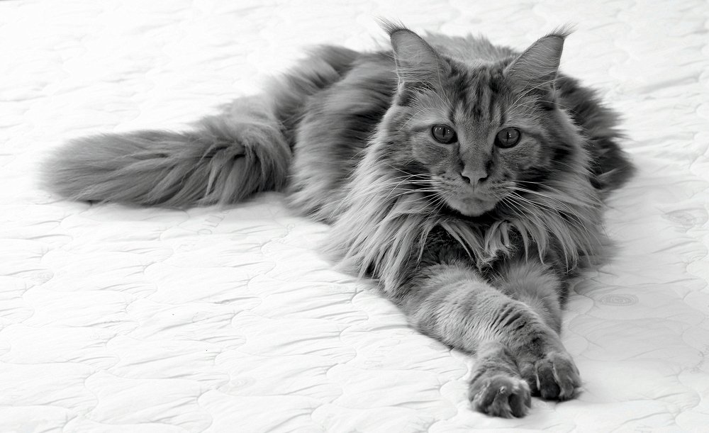 Photograph by Виктор Игнатенко.