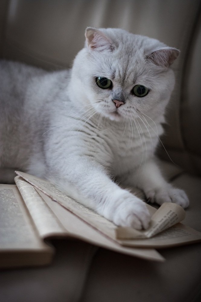 Photograph by Наташа Рубинфайн