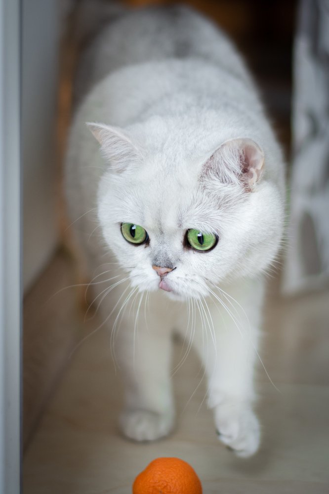 Photograph by Наташа Рубинфайн