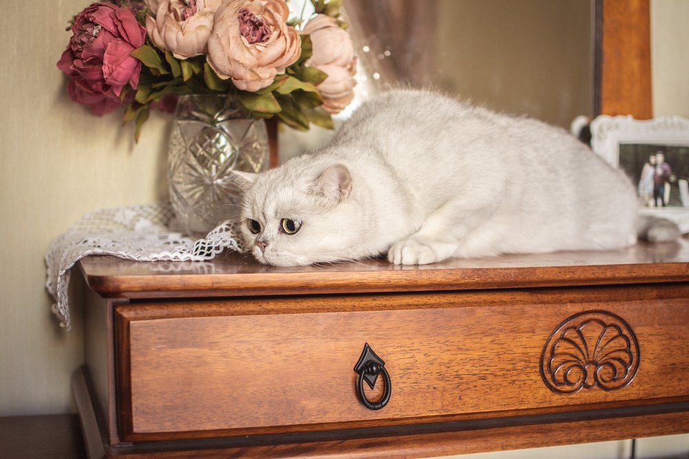 Photograph by Наташа Рубинфайн