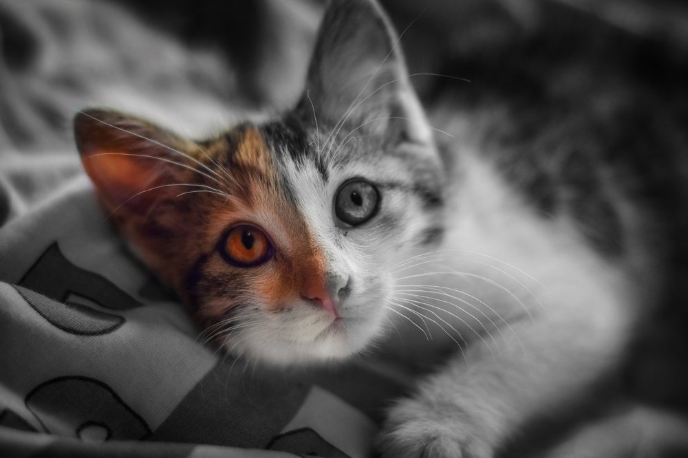 Photograph by Никита