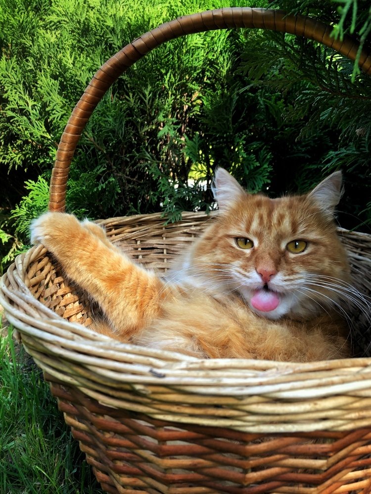 Вот вам всем...