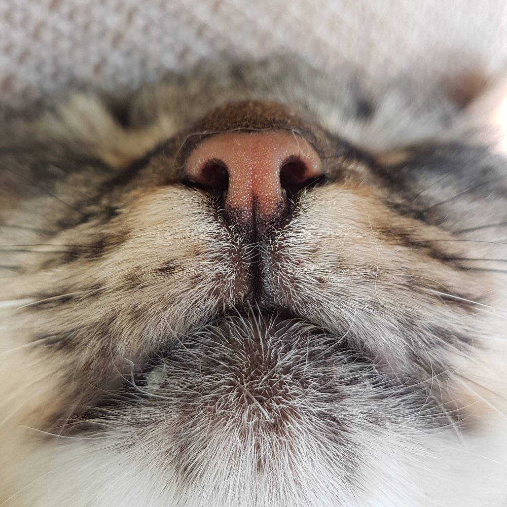 Photograph by Полина Кожухарь