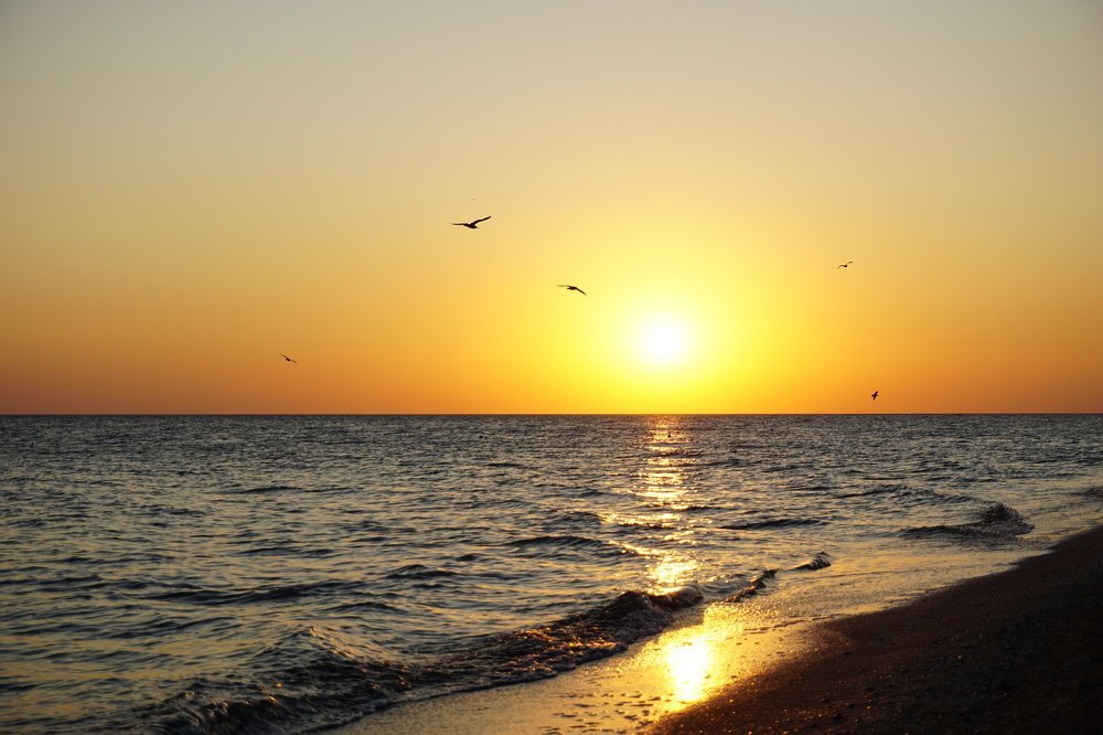 Photograph by Алеся Писнова