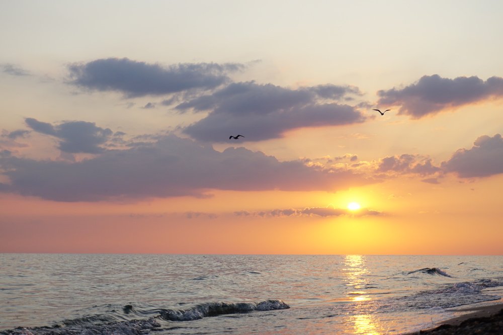 Photograph by Алеся Писнова