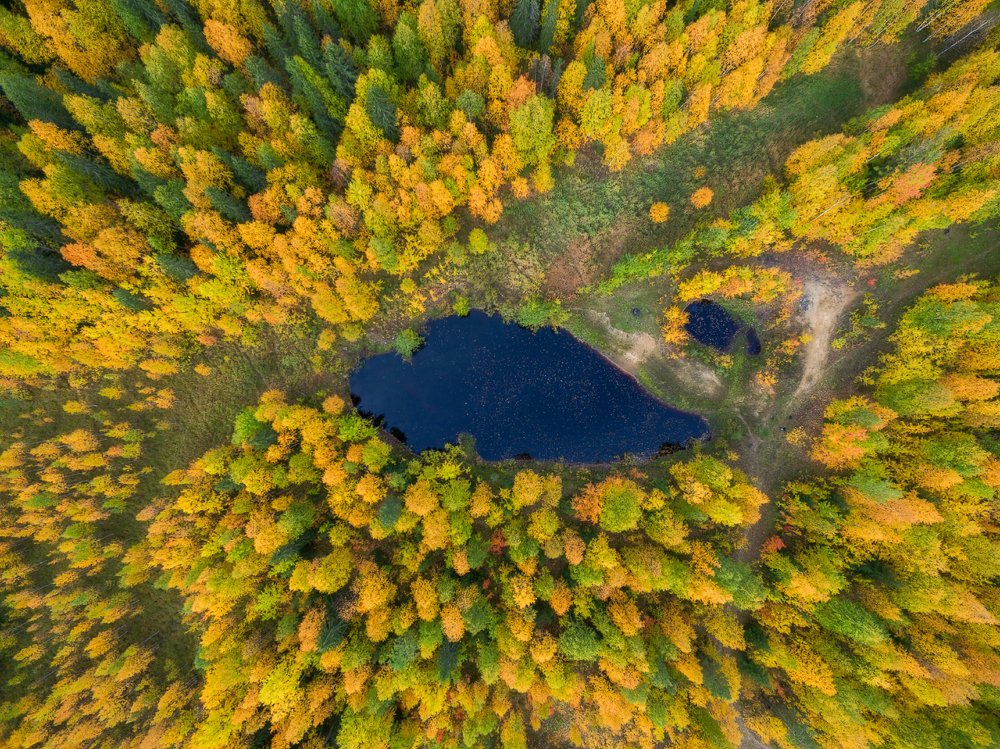 Photograph by Игорь Подобаев