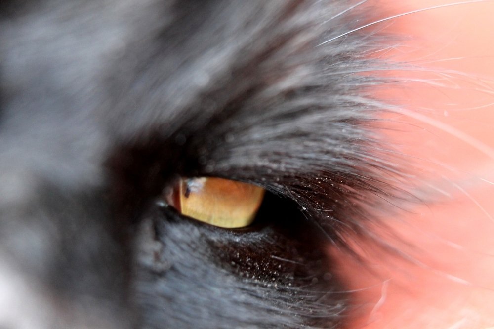 Photograph by Сергей Подлевский