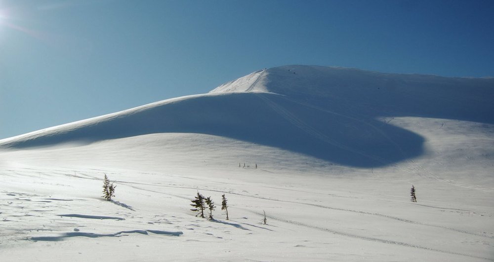 Photograph by Марина Фомина
