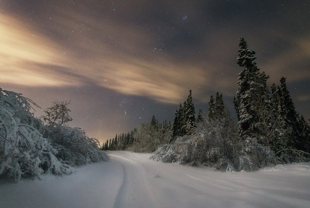 Photograph by Игорь Подобаев