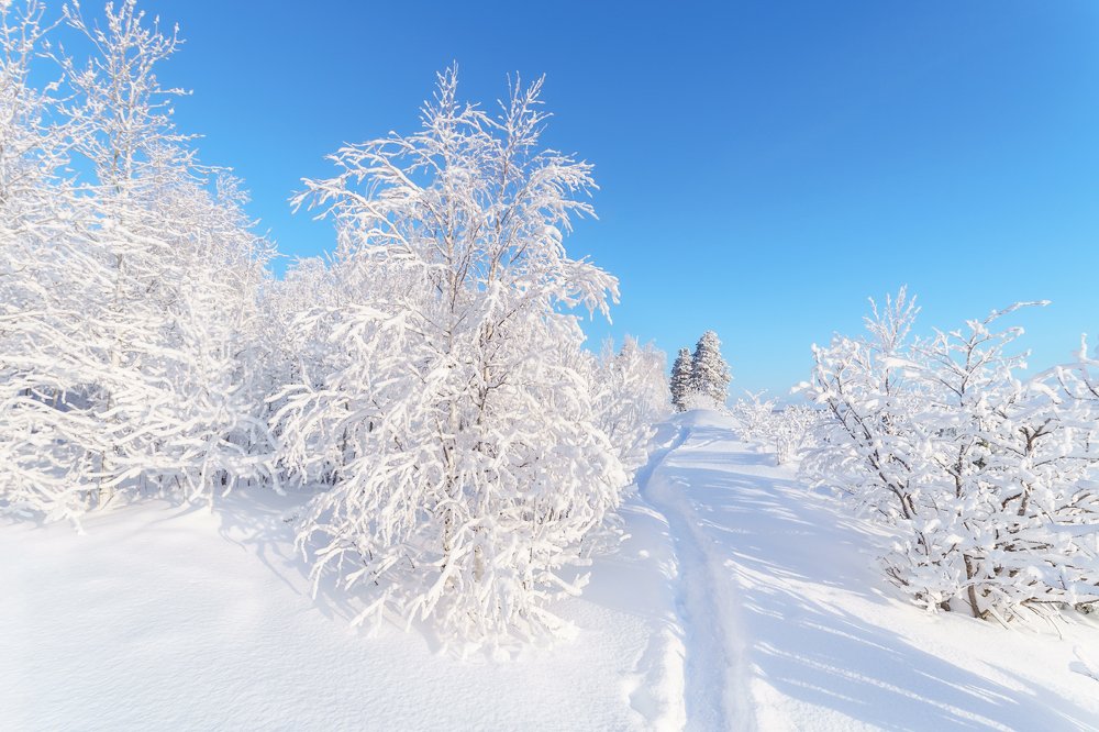 Photograph by Игорь Подобаев