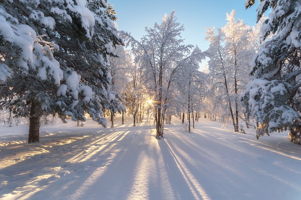 Photograph by Игорь Подобаев