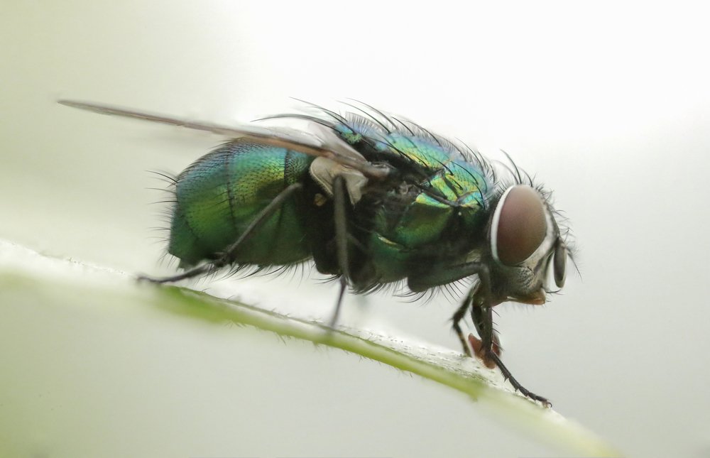 Photograph by Мария Самохина