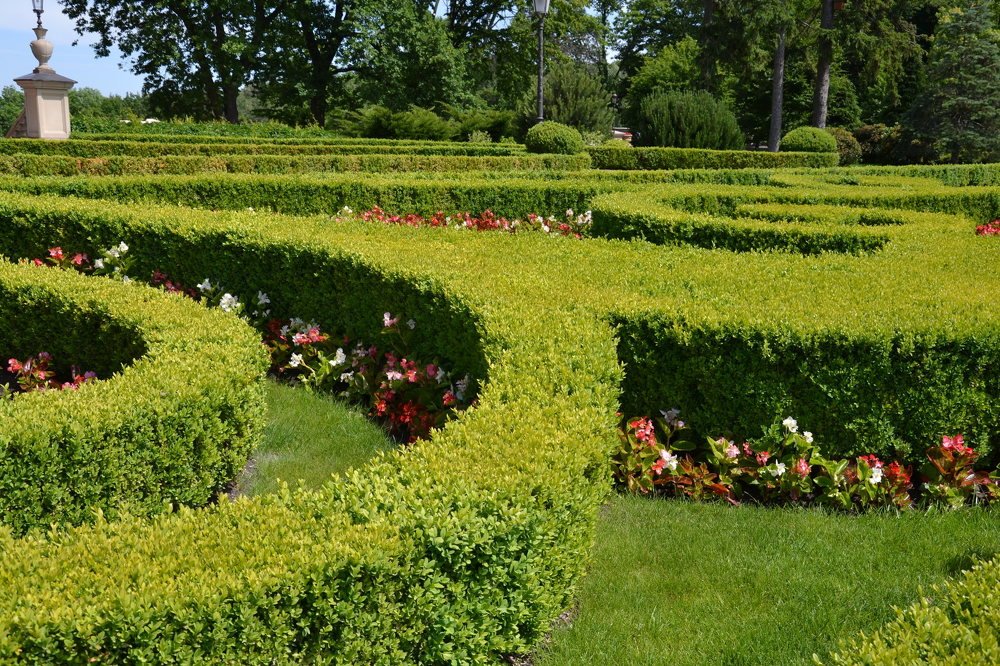 Photograph by Елена Зоря