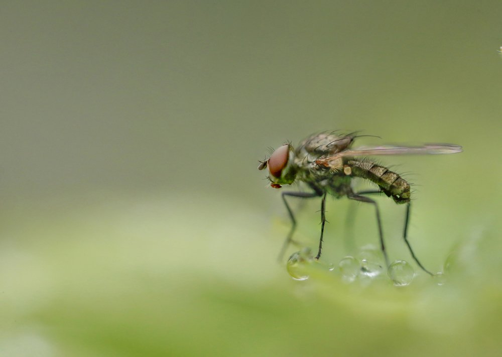 Photograph by Мария Самохина