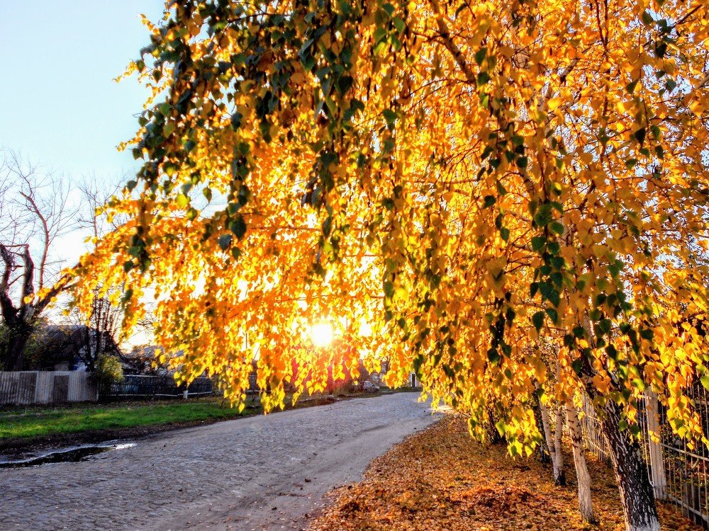 Photograph by Денис Лащ