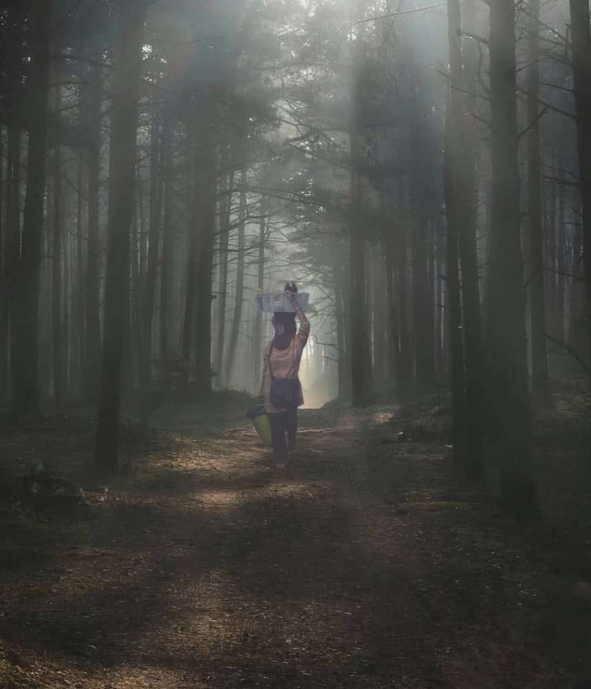 Photograph by Iin Fortunata Angelina