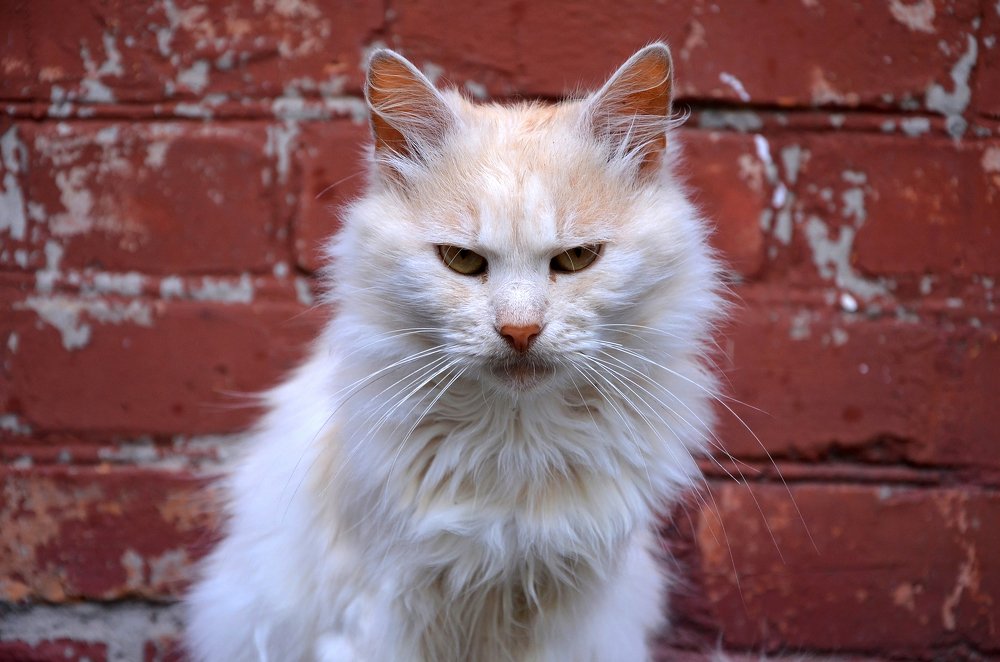 Photograph by  Лена