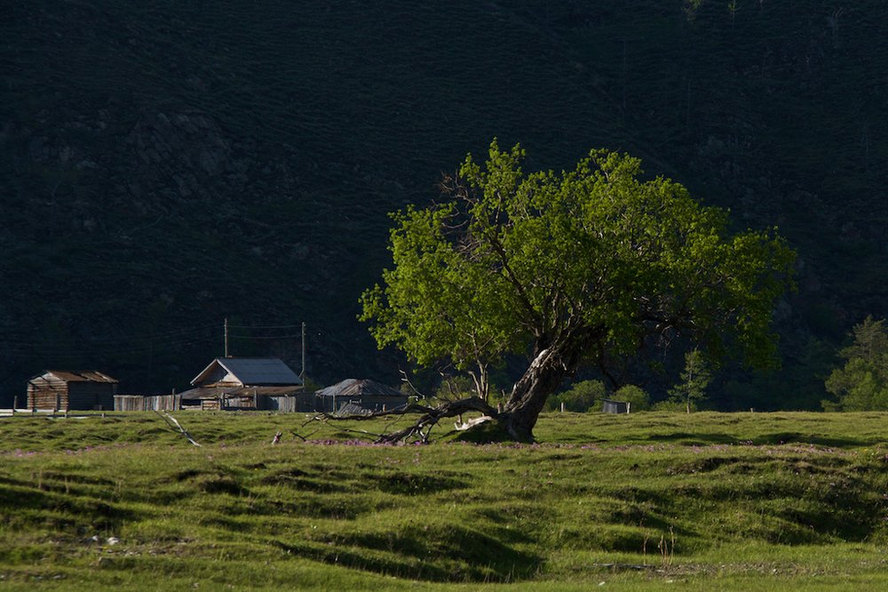 Photograph by Алёна Гильмуллина