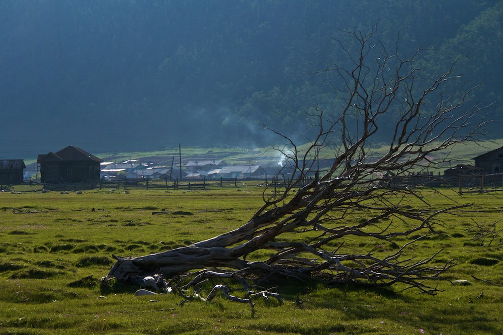 Photograph by Алёна Гильмуллина