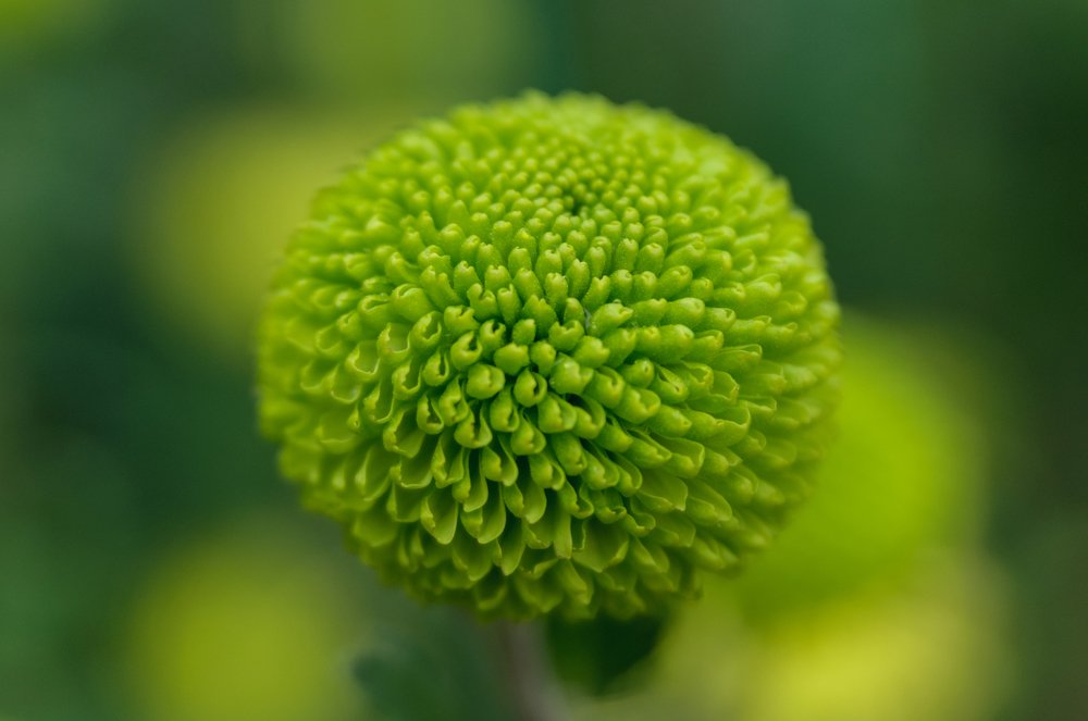 Photograph by Михаил Курихин