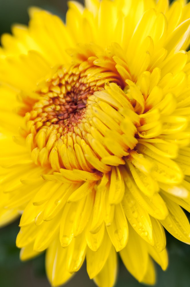 Photograph by Михаил Курихин