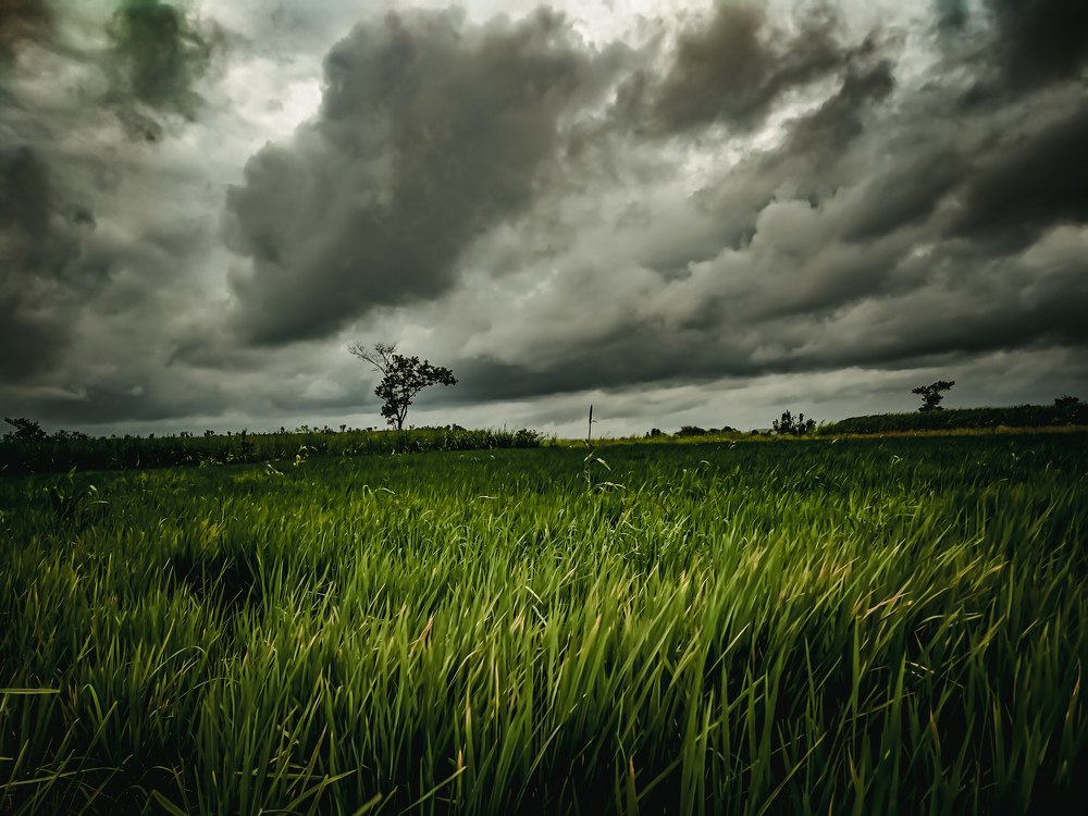 Photograph by Rohit Tonapi