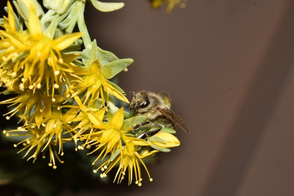 Photograph by Ivana Bozinovic