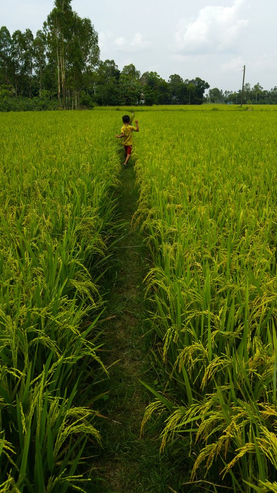 Photograph by Mohammad Shakib