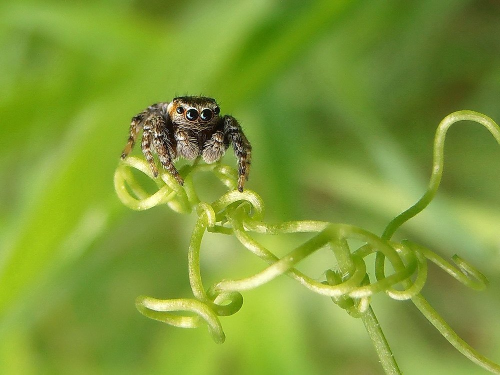 Photograph by Кан Галина