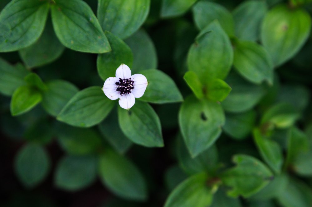 Photograph by Катя