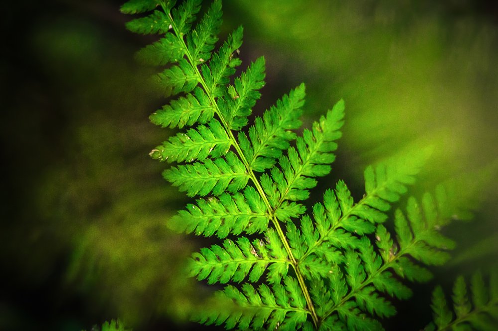 Photograph by Катя