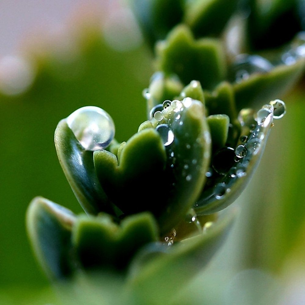 Photograph by Karina Elena Bergagna