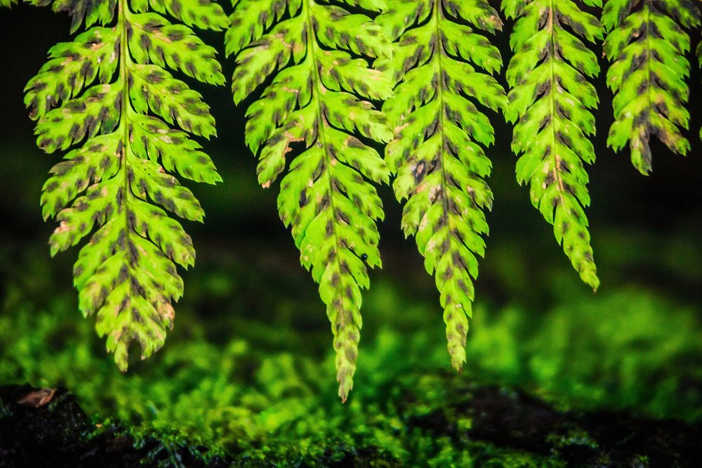 Photograph by Катя