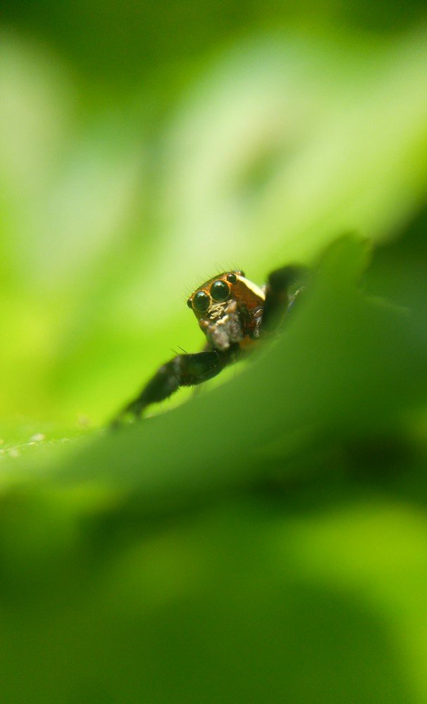 Photograph by Mohammad Shakib