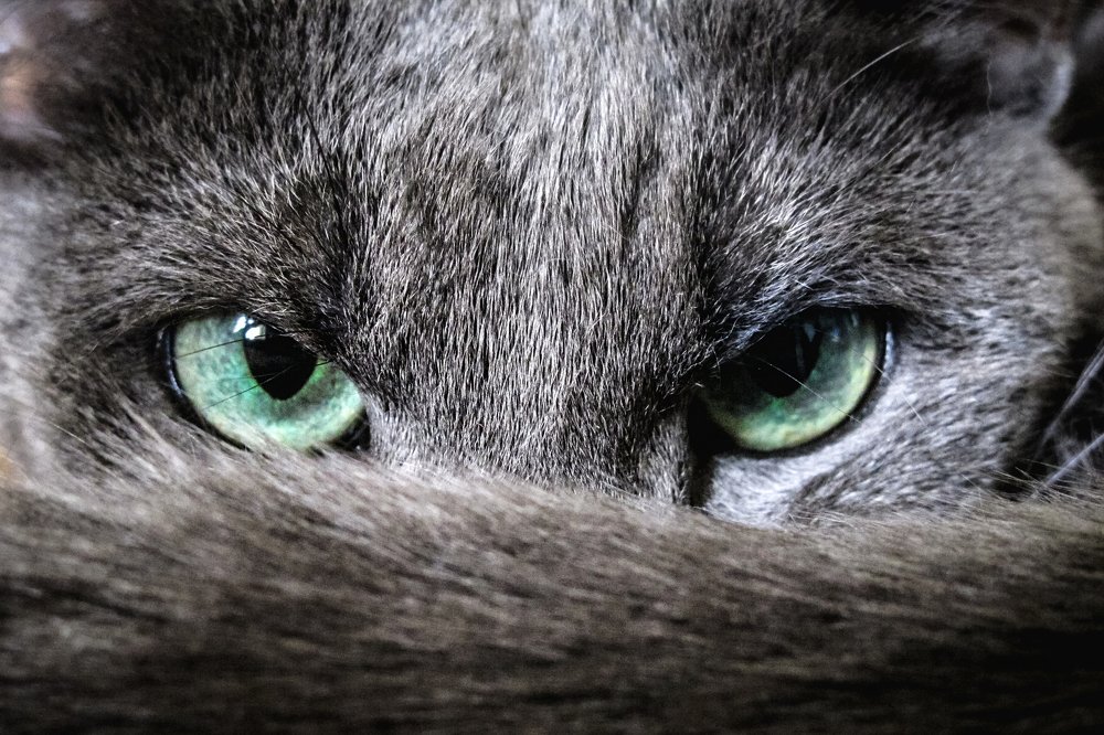 Photograph by Катя