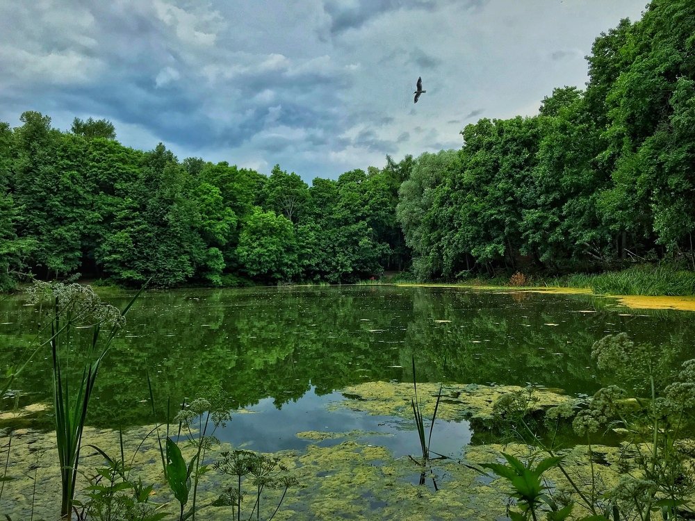 Photograph by Артур Григорян