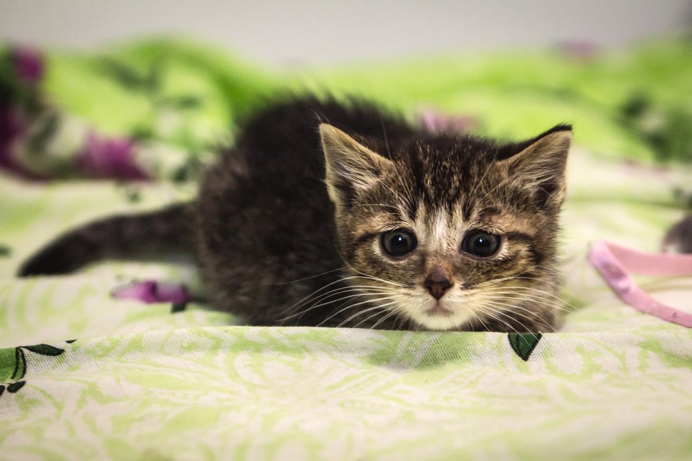 Photograph by Катя