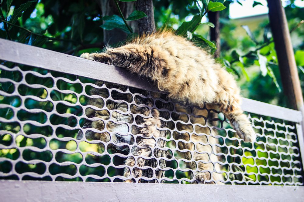 Photograph by Катя