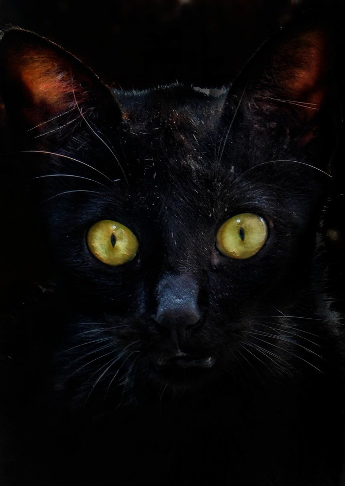 Photograph by Saha Jagannath