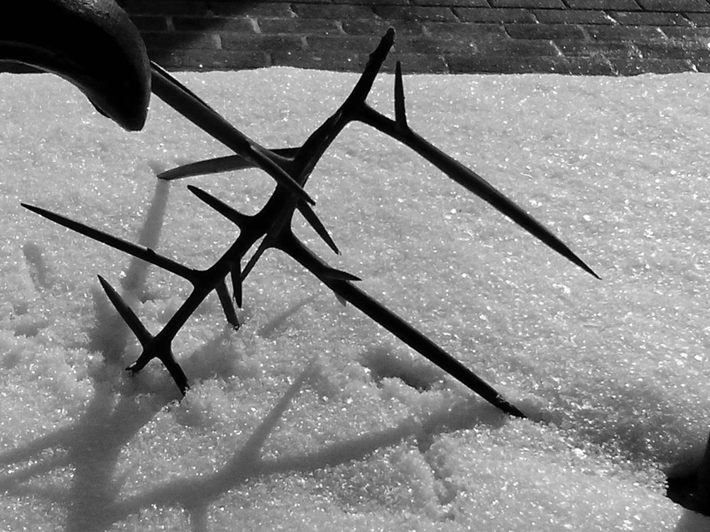 Photograph by Юрий Солодовников