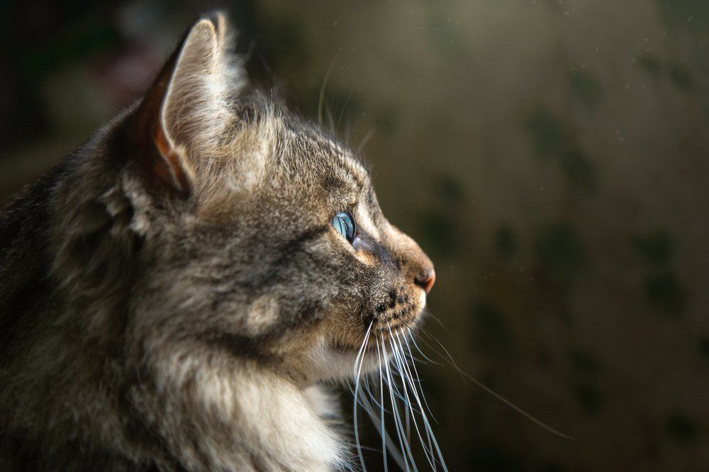 Photograph by Андрей Щербинин