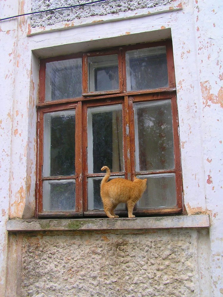 Photograph by Зоя