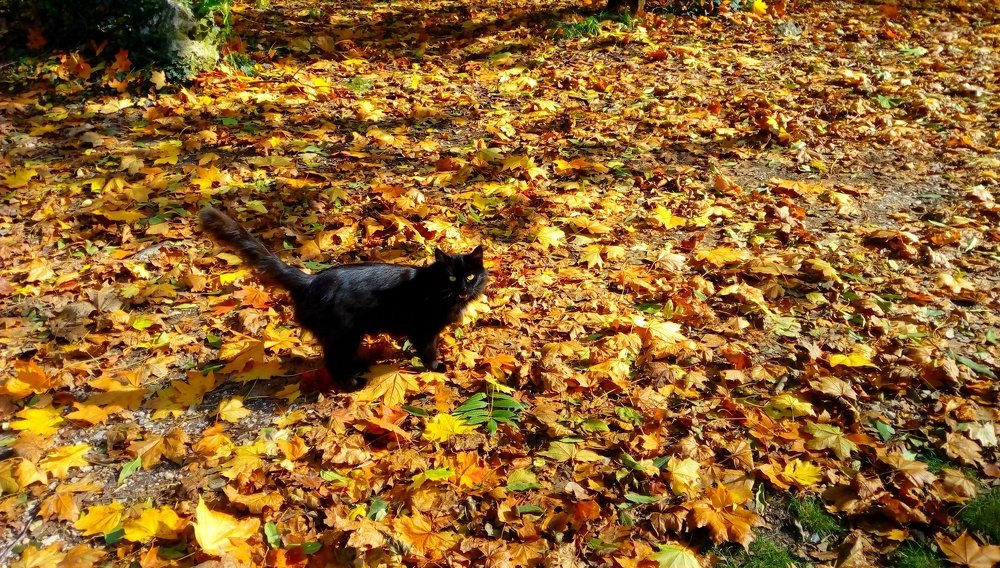 Photograph by Зоя