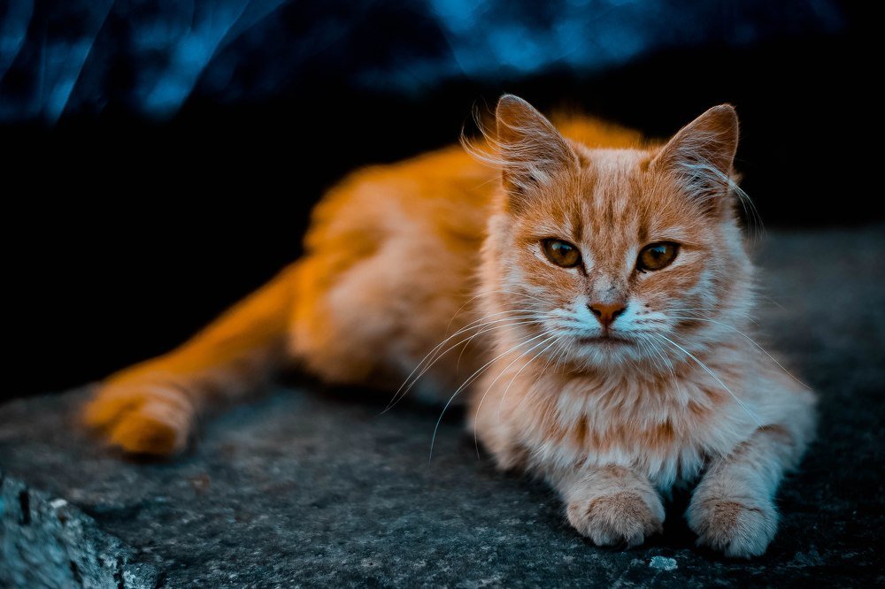 Photograph by Никита
