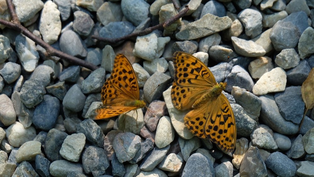 Photograph by Светлана Титова