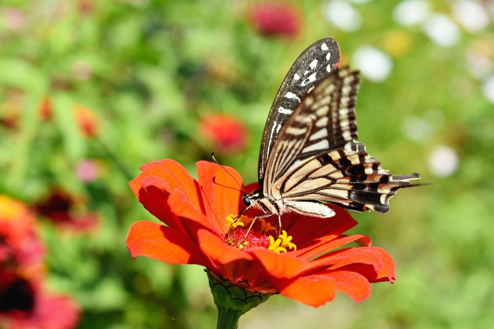 Photograph by Светлана Титова