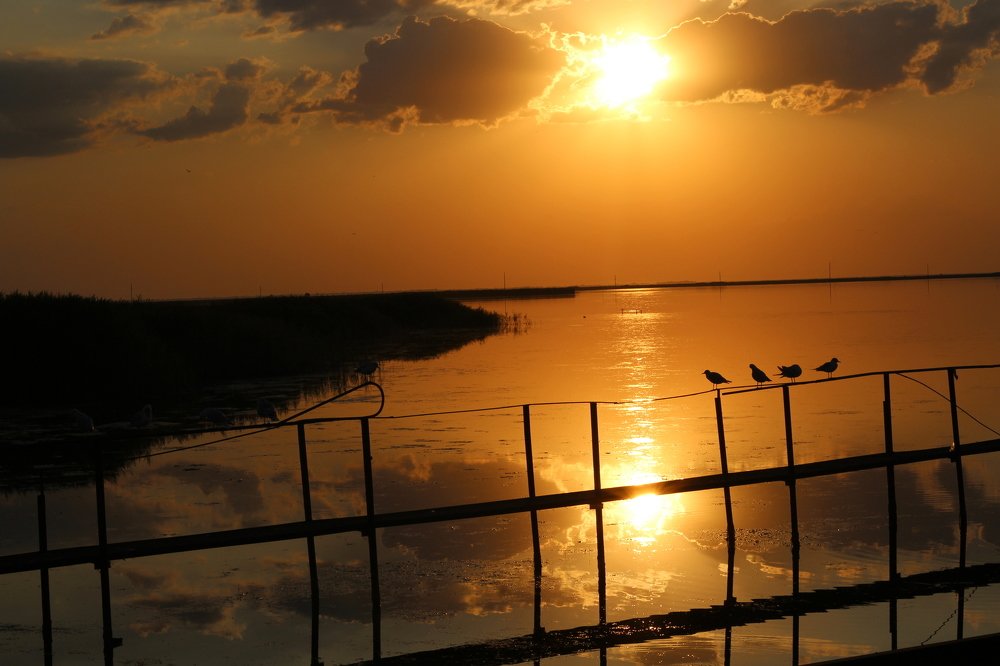 Photograph by Виктория Бурова