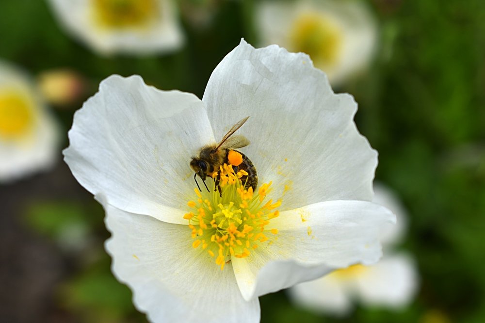 Photograph by Светлана Титова