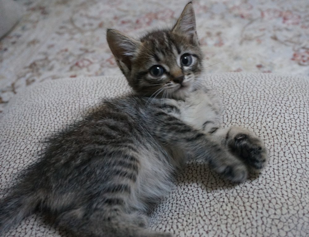 Photograph by Алия Байсыкова