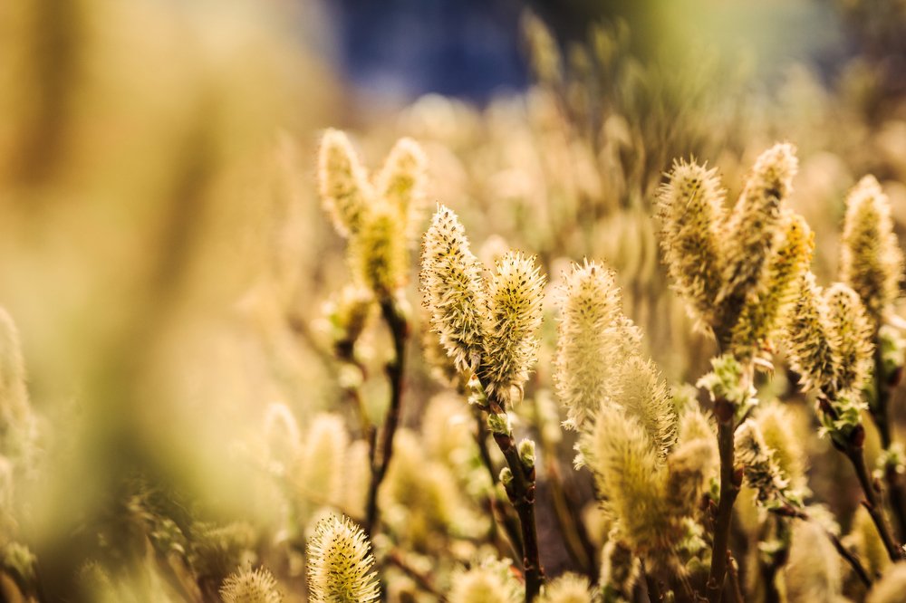 Photograph by Катя